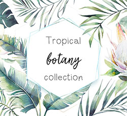 18张高清背景透明背景的北欧风热带植物图片：Tropical botany collection